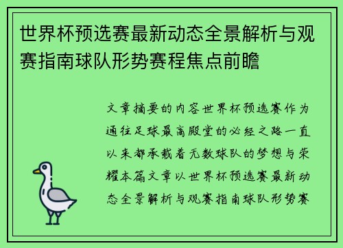 世界杯预选赛最新动态全景解析与观赛指南球队形势赛程焦点前瞻